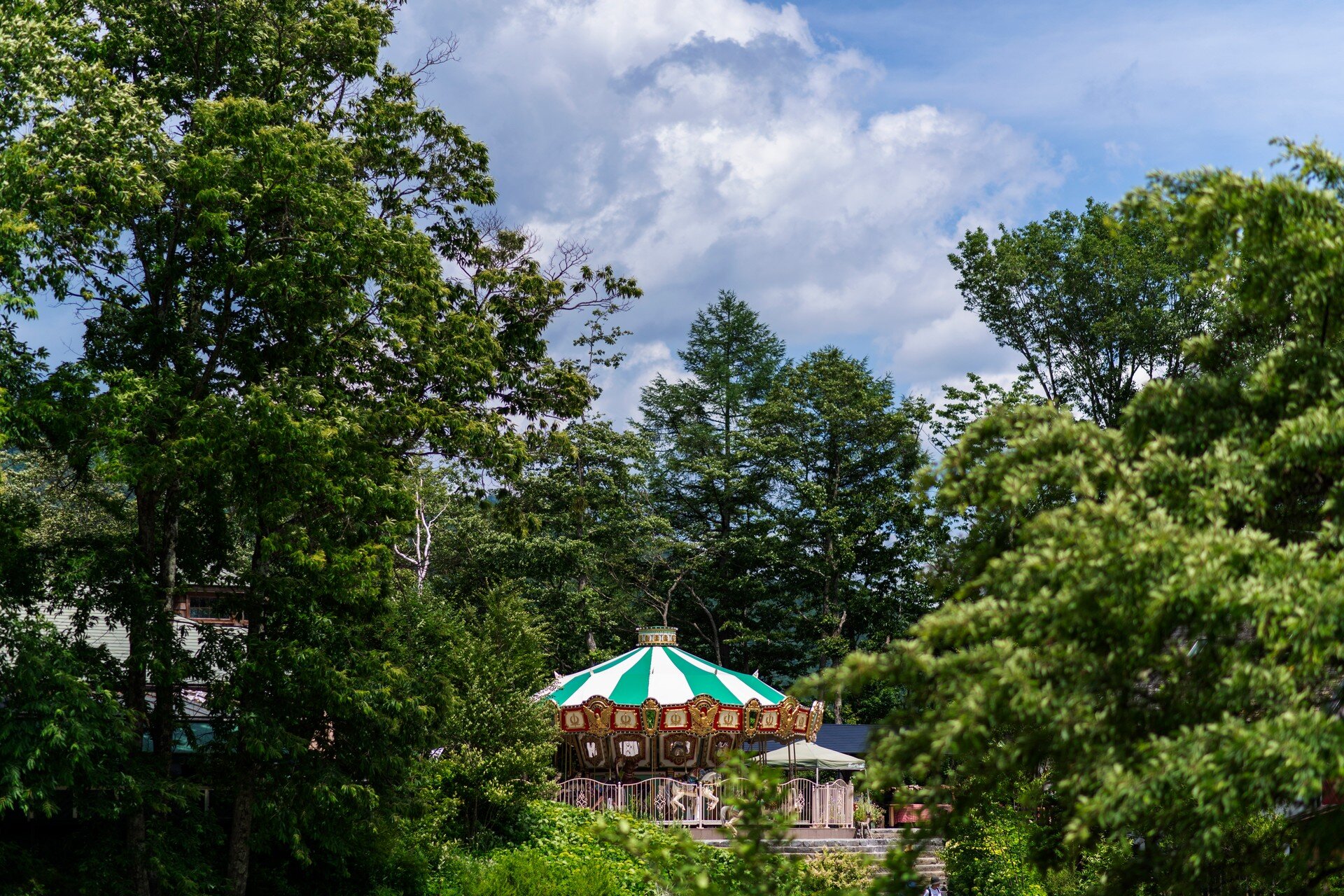 森のメリーゴーラウンド